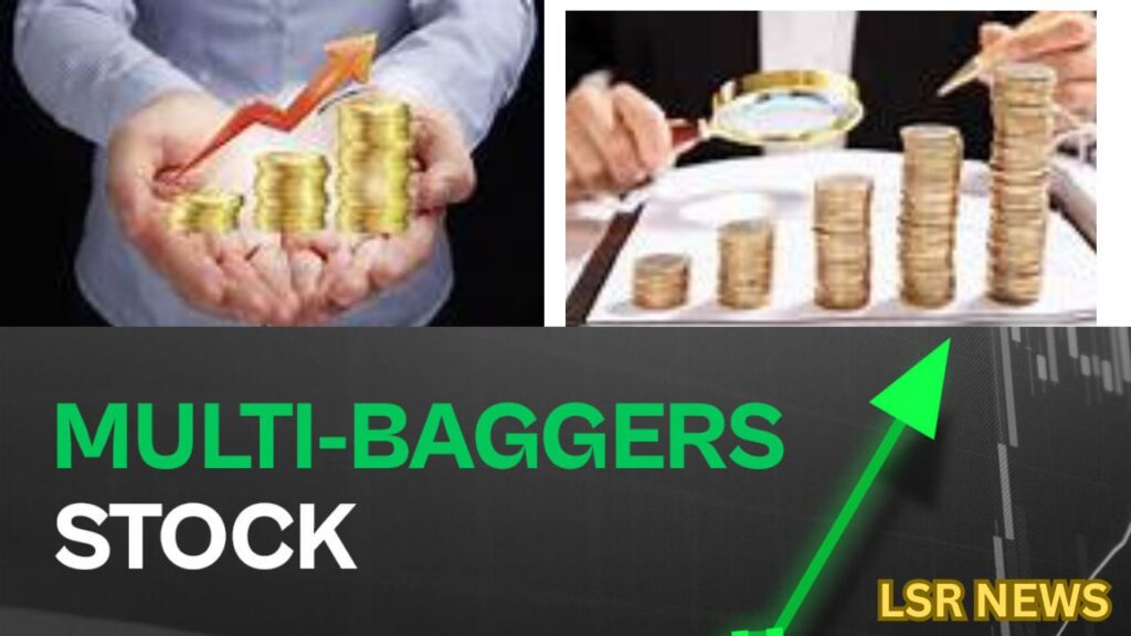 Latest Multibagger Stocks 2024: లక్షను రూ.50 లక్షలుగా మార్చిన మల్టీబ్యాగర్.. మీ దగ్గర ఉందేమో చూస్కోండి..